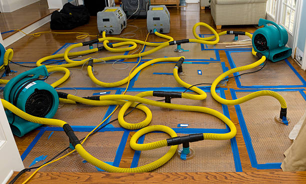Professional Water Damage Restoration technician working in Universal City, TX